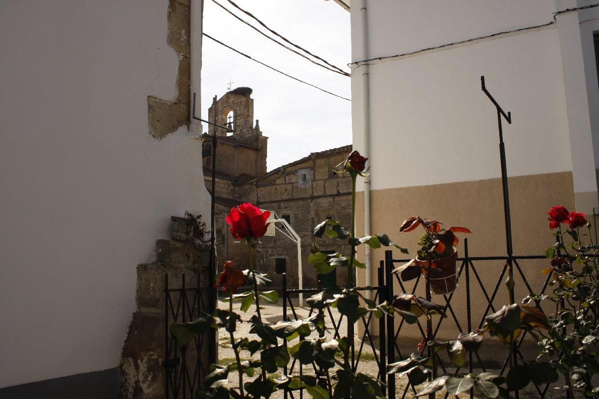 Fotografía de la galería de imágenes con id: 852
